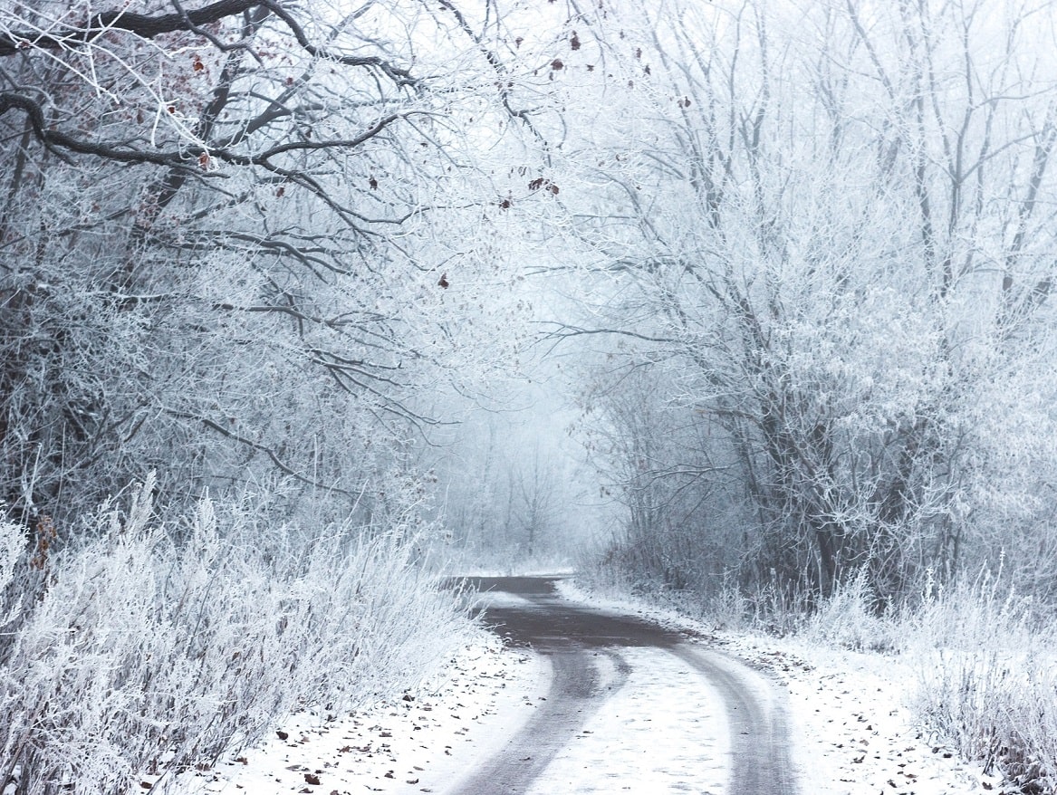 Road in winter 