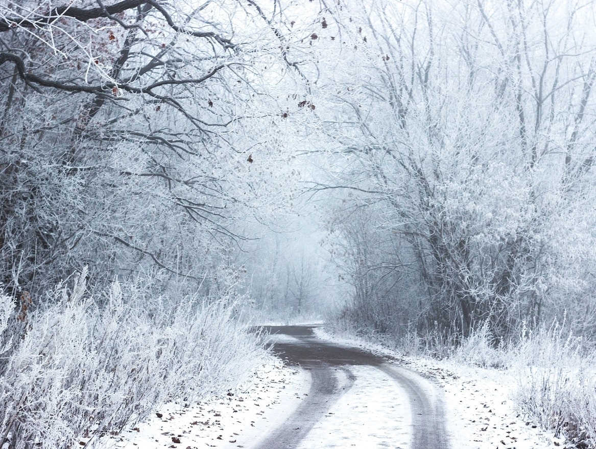 Road in winter